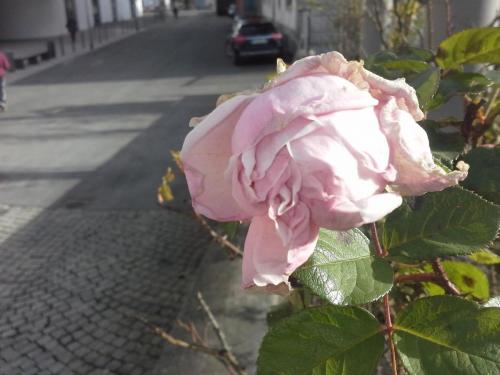 20141214_123323.jpg