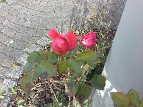 20141214_123409.jpg