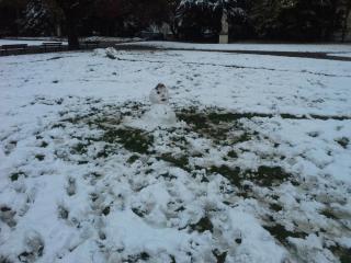 20131121_152823.jpg