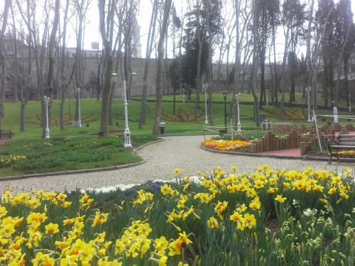 20150330_103106.jpg