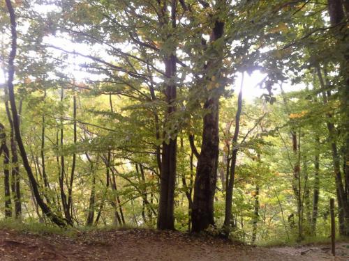 20140914_134214.jpg