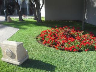 20140320_195513.jpg