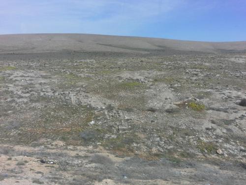 20150326_095614.jpg
