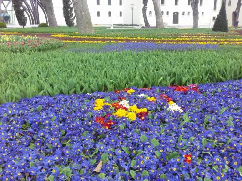 20150330_100852.jpg
