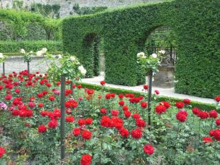 20140616_143312.jpg