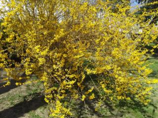 20140317_185044.jpg
