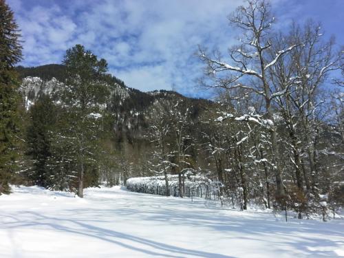 20150102_115327.jpg
