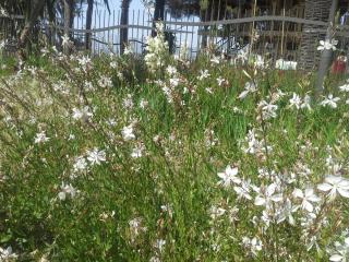 20140609_124805.jpg