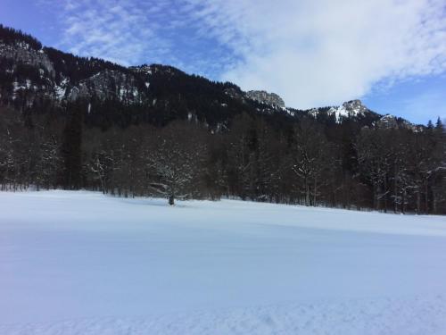20150102_120826.jpg