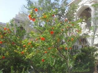20140610_182115.jpg