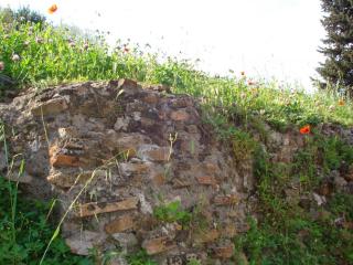 DSC04615.JPG