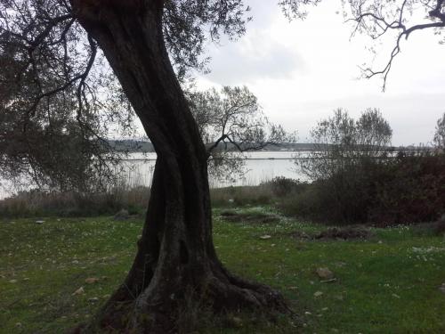 20150328_173155.jpg