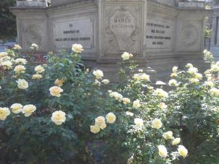 20140607_121446.jpg