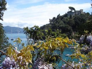DSC04742.JPG