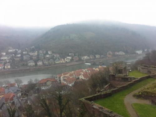 20141209_113502.jpg