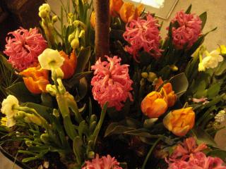 DSC04315.JPG