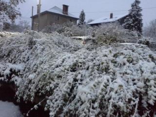 20131122_103744.jpg