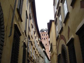 DSC04716.JPG