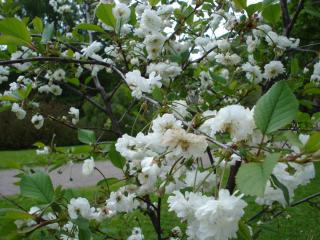 DSC05023.JPG