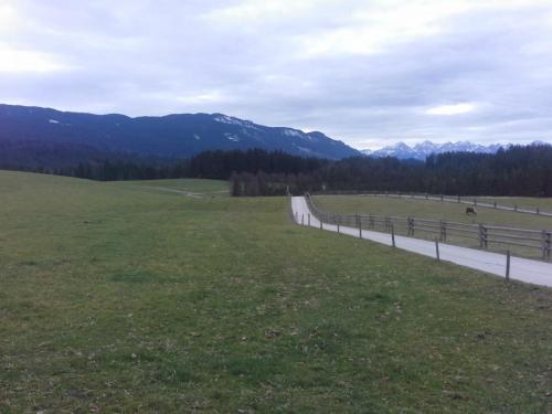 20141214_134118.jpg