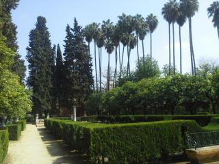 20140319_161235.jpg