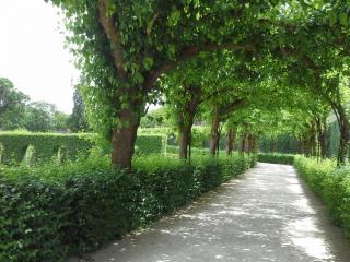 20140616_142951.jpg