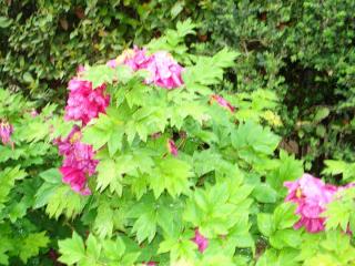 DSC04506.JPG