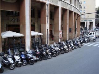 DSC04785.JPG