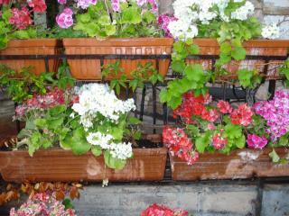 DSC04430.JPG