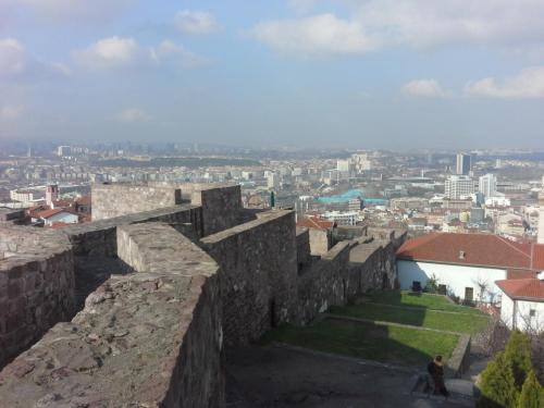 20150324_082132.jpg