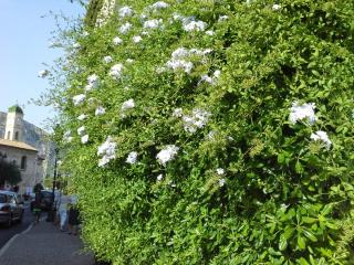 20140609_201105.jpg
