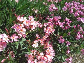 20140610_123510.jpg