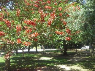 20140609_131653.jpg