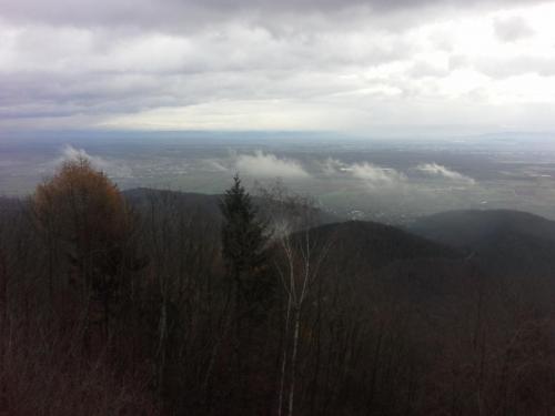 20141211_103442.jpg