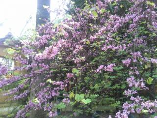 20140319_160654.jpg
