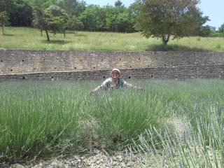 20140612_163051.jpg