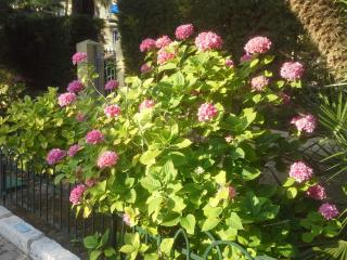 20140609_212130.jpg