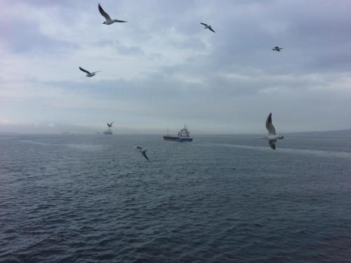 20150329_124119.jpg