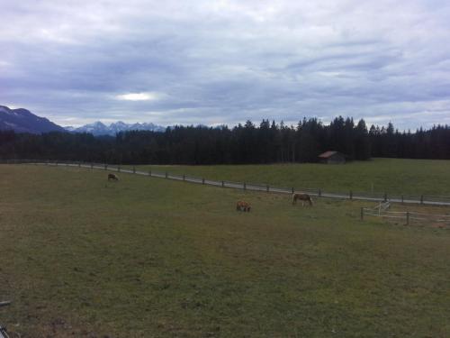 20141214_134148.jpg