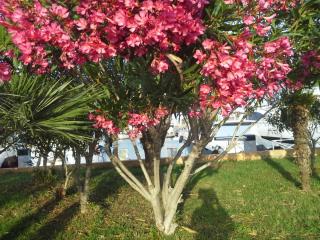 20140608_215254.jpg