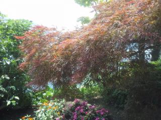 20140606_153012.jpg
