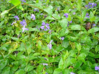 DSC04480.JPG