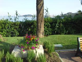 20140609_205251.jpg
