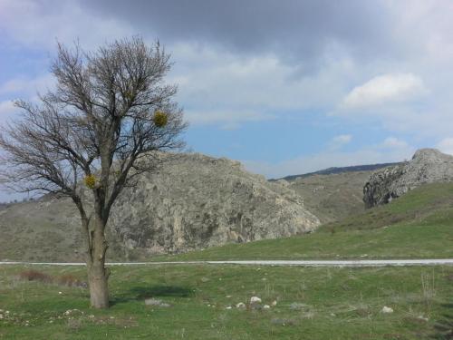 20150324_144431.jpg