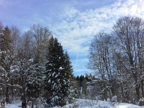 20150102_114213.jpg