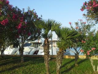 20140608_215241.jpg