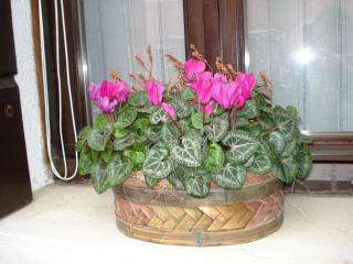 DSC04380.JPG