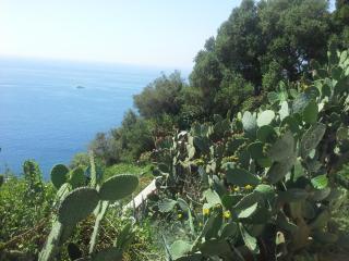 20140609_132554.jpg
