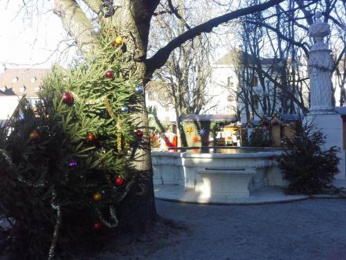 20141212_103613.jpg
