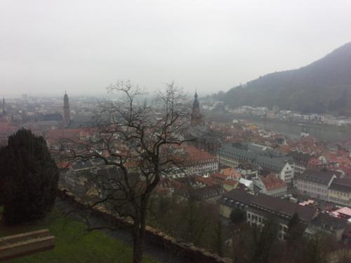 20141209_113507.jpg